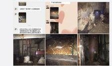 吉林市民爆料新闻,惊现神秘事件，真相令人震惊！