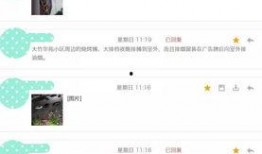 最新爆料信息,最新爆料信息曝光，震惊业界内幕大公开！